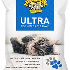 Dr. Elsey’s Cat Litter Review: Purr-fectly Dust-Free