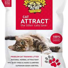 Dr. Elsey’s Premium Cat Litter Review: Odor-Free Magic