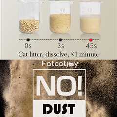 3Pack Tofu Cat Litter Review: Lightweight and Flushable Marvel