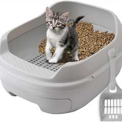 Skywin Sifting Cat Litter Box Review: A Clean Dream
