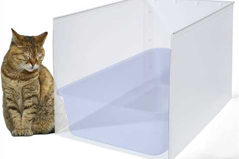 Litter Box Shield Review: No More Mess!