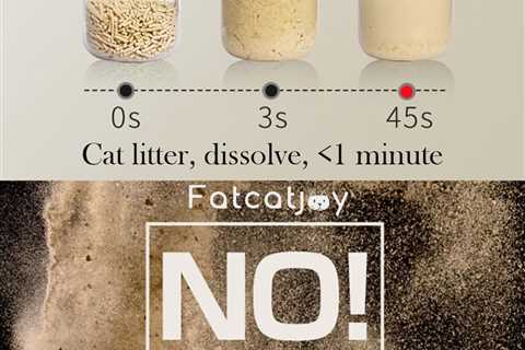 3Pack Tofu Cat Litter Review: Lightweight and Flushable Marvel