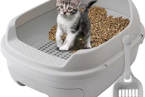 Skywin Sifting Cat Litter Box Review: A Clean Dream