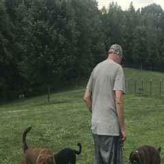 Animal Welfare in Calvert County, MD: How Laws and Community Involvement Protect Our Furry Friends