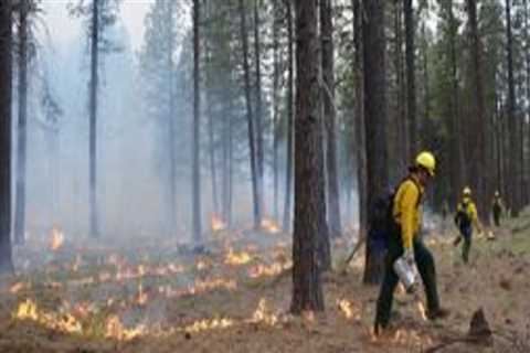 The Impact of Wildfires on Central Oregon's Natural Landscape and Preservation Efforts