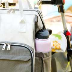 3 Best Dog Stroller Accessories for Ultimate Comfort