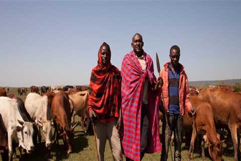 Understanding Livestock Management: Best Practices and Strategies