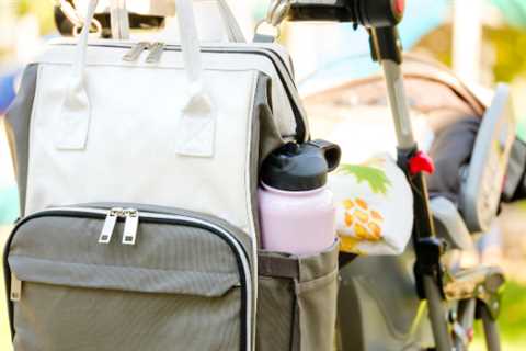 3 Best Dog Stroller Accessories for Ultimate Comfort